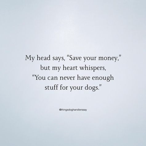 Funny Dog Quotes, Crazy Dog Lady, Quotes For Instagram, Pets 3, Dog Mama, Crazy Dog, Animal Quotes, Dog Quotes, Dog Life