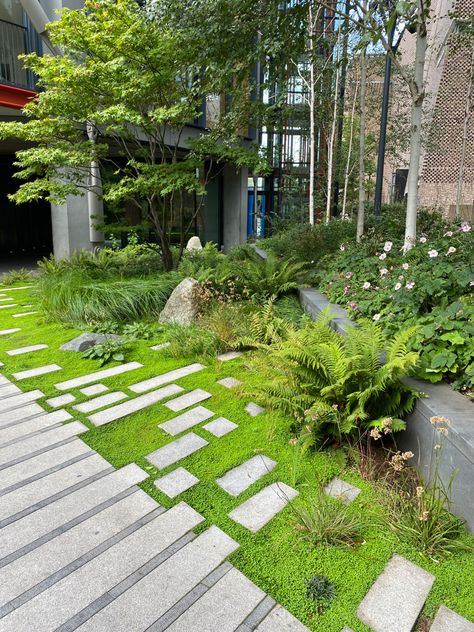 Garden Lawn, Moss And Stone Walkway, Stepping Stones With Grass In Between, Stone And Grass Pathway, Moss Between Stepping Stones, Organic Stepping Stones, Japandi Garden, Stone Path In Grass Pathways, Ferns Garden