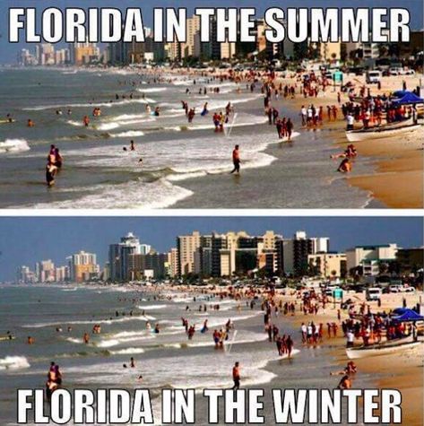 Florida Funny, Middle Of The Ocean, Memes No, Florida City, Daily Pictures, Sendai, State Of Florida, Sunshine State, Free Instagram