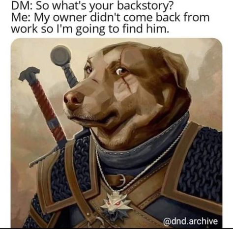 D D Funny, Dnd Stories, Dungeons And Dragons Memes, Dragon Memes, Dnd Funny, D&d Dungeons And Dragons, Dungeons And Dragons Homebrew, Dnd Characters, Animal Memes