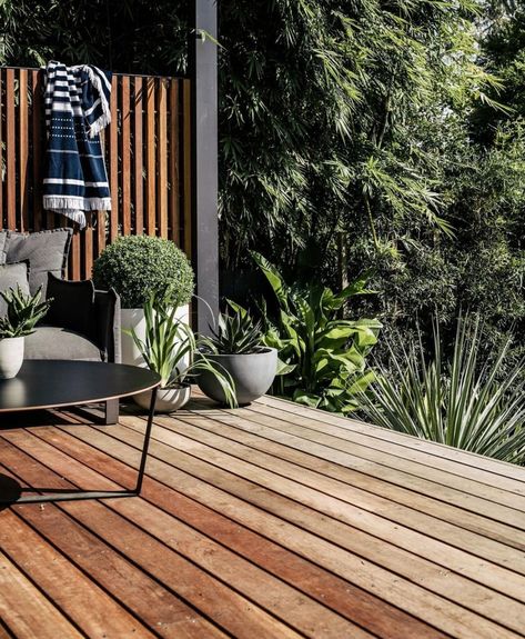 Spotted Gum Deck, Deck Ideas New Zealand, Spotted Gum Decking, Cabin Deck, Outdoor Styling, Decking Boards, Summer Hill, Sydney Beaches, Black Beach