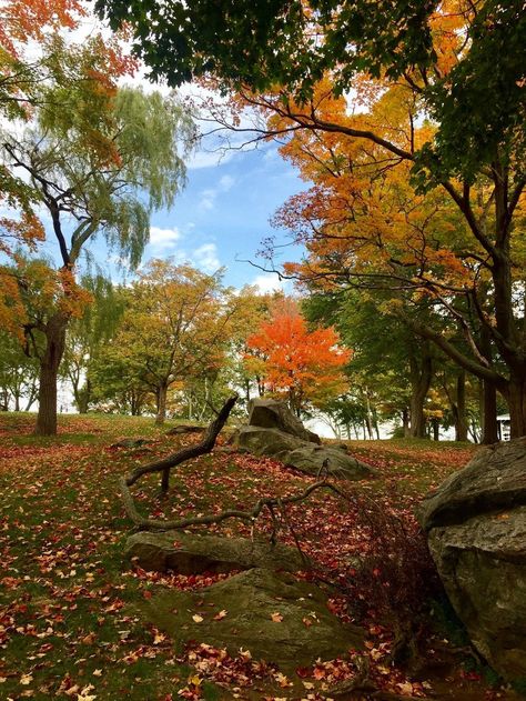 Fall in Salem Willows Massachusetts is a gorgeous place to visit.  Not only are the witches fun to see and tease, but the scenery is absolutely gorgeous.  Salem Massachusetts has so many amazing places to see and visit. Fall Lovers, Salem Massachusetts, The Witches, Fall Inspo, Autumn Scenery, Place To Visit, Fall Is Here, Autumn Vibes, Fall Pictures