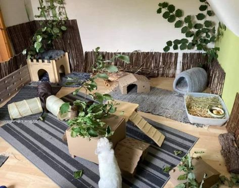 Indoor Bunny House, Diy Bunny Cage, Indoor Rabbit Cage, Diy Guinea Pig Cage, Rabbit Pen, Rabbit Enclosure, Rabbit Habitat, Bunny Room, Pet Bunny Rabbits