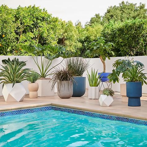 Faceted Modern Planter, White, 10" | west elm Landscaping Around Pool, Modern Planters Outdoor, Pool Plants, Pool Landscape Design, Pergola Design, Backyard Pool Landscaping, Indoor Outdoor Planter, Contemporary Garden, Pool Decor