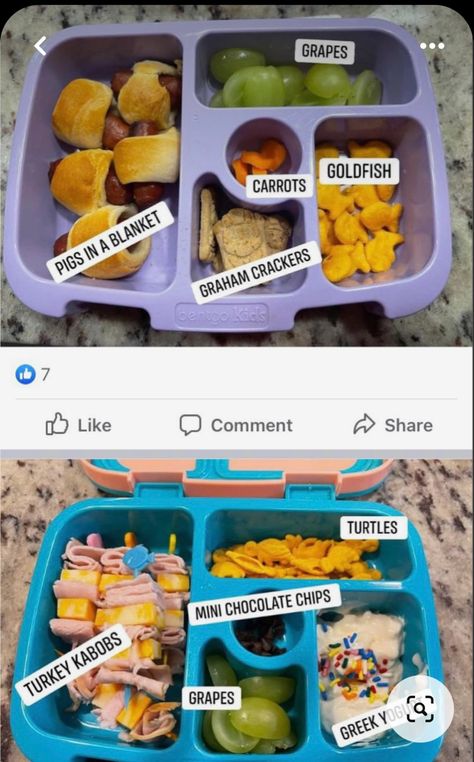 Lunch Idea For Kids At School, Pre K Lunch Box Ideas For School, Picky School Lunch Ideas, Preschool School Lunch Ideas, Lunch Ideas Kids Picky Eaters, Cool Lunch Ideas For Kids, Lunch Idea For Kindergarten, School Lunches For Prek, Packing Toddler Lunch For Daycare