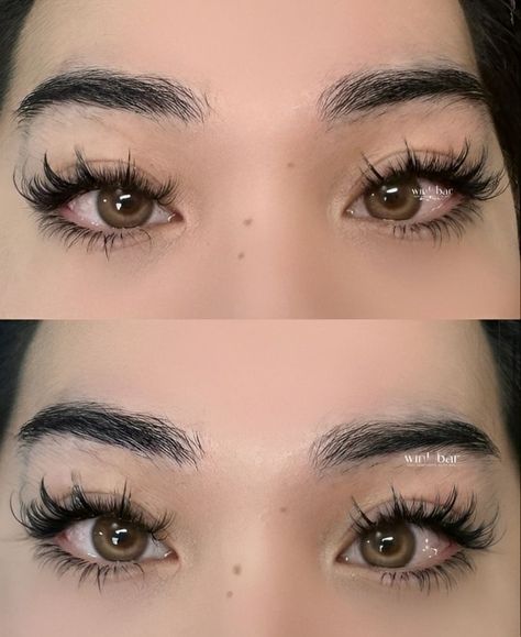 Lash Extensions Russian, Lash Extensions Mega Volume, Lash Extension Removal, Eyelash Extension Tips, Lash Extensions Classic, Lash Extensions Hybrid, Eyelash Extension Styles, Mega Volume Lash Extensions, Lash Extensions Volume