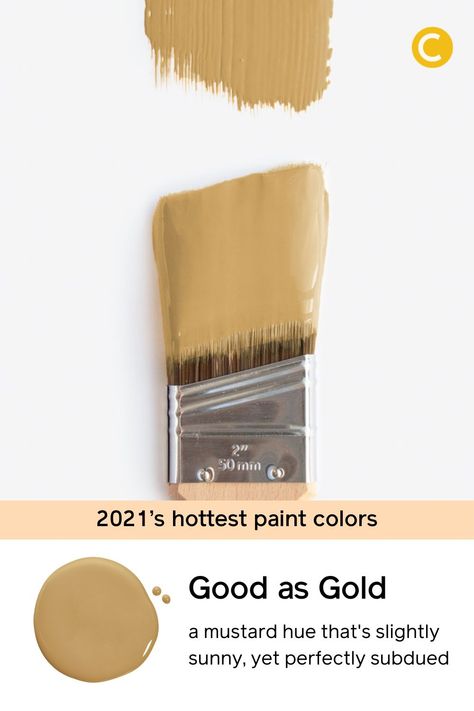 Gold Yellow Walls, Mustard Beige Color Schemes, Mustard Color Paint, Mustard Gold Paint Color, Mustard Complementary Colors, Best Ochre Paint Colors, Gold Brown Paint Color, Best Mustard Paint Colors, Light Gold Paint For Walls