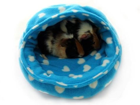 Guinea pig snuggle pod free sewing tutorial finished pattern small animals Diy Small Pet Bed, Diy Pet Bed Small Animals, Guinea Pig Diy, Guinea Pig Accessories, Guinea Pig House, Guinea Pig Bedding, Baby Guinea Pigs, Monkey Stuffed Animal, Guinea Pig Toys