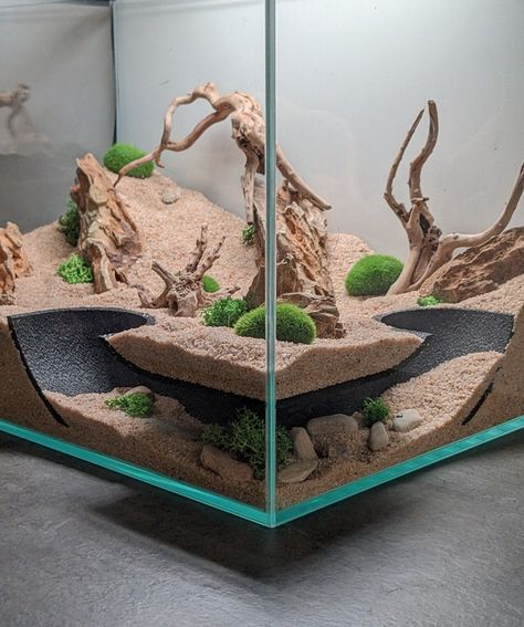 Arid Bioactive Vivarium, Reptile Room Aesthetic, Diy Bearded Dragon Cage, Aquarium Tunnel, Python Tank, Diy Bearded Dragon Enclosure, Gecko Cage, Leopard Gecko Tank, Bearded Dragon Diy