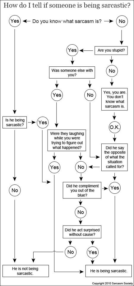 Funny Flow Charts, Being Sarcastic, Flow Charts, Mother Tongue, Process Flow, Books Library, Social Thinking, Life Map, First Coffee