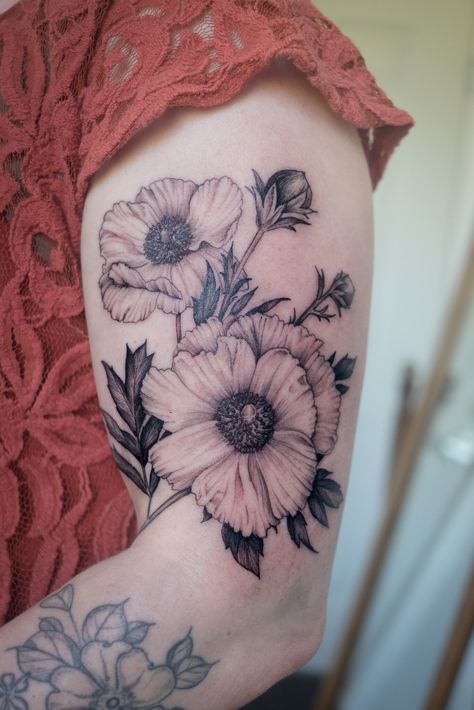 Matilija Poppies, Matilija Poppy, Icelandic Poppy, Leopard Moth, Poppy Tattoo, Icelandic Poppies, Chicken Of The Woods, Flowering Quince, Poppies Tattoo