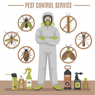 Guaranteed & Safe Termite Control/Fumigation Services | Free Classified in Pakistan Fumigation Services, Wood Termites, Flea Prevention, Termite Control, Bug Control, Natural Homes, Autodesk Revit, Teaching Skills, Insect Control