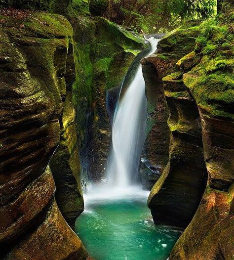 Hocking Hills State Park @ Ohio | Flickr - Photo Sharing! Hocking Hills Ohio, Hocking Hills State Park, Hocking Hills, Steve Perry, Travel Route, Halong Bay, Camping Ideas, Beautiful Waterfalls, Pretty Places