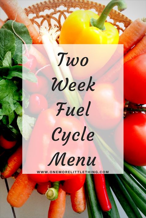 Looking for a way to jump-start your weight loss. Doing a two-week fuel cycle can really push your fat burning into overdrive! Trim Healthy Mama Meal Plan, Thm Diet, Thm Meal Plans, Trim Healthy Mama Recipe, Trim Healthy Mama Diet, Fuel Pull, Trim Healthy Recipes, Trim Healthy Mama Plan, Trim Healthy Momma