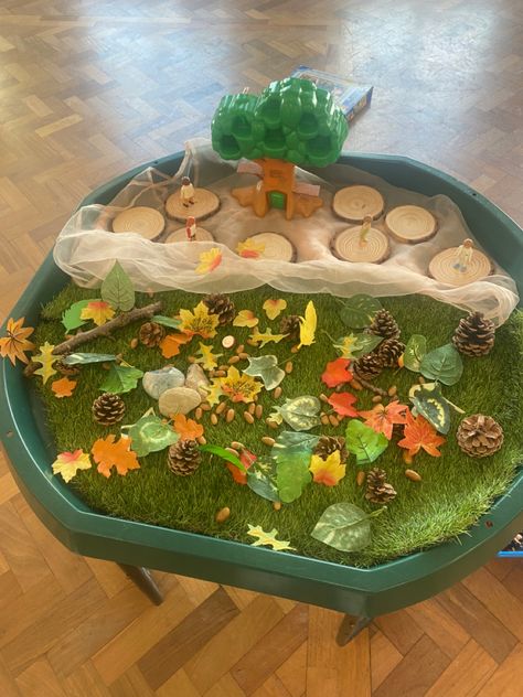 Woodland Tuff Tray Ideas, Tuff Tray Ideas, Cable Drum, Tuff Tray, Tray Ideas, Wood Sticks, Walk In The Woods, Pine Cones, Terrarium