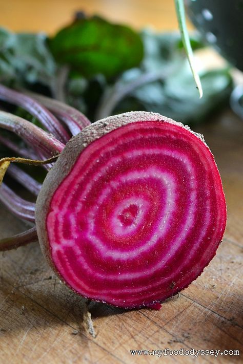 Beetroot Aesthetic, Beets Photography, Beetroot Photography, Beetroot Photo, Beetroot Hummus Photography, Beetroot Dye Fabric, Chioggia Beets, White Rings, Design Fundamentals