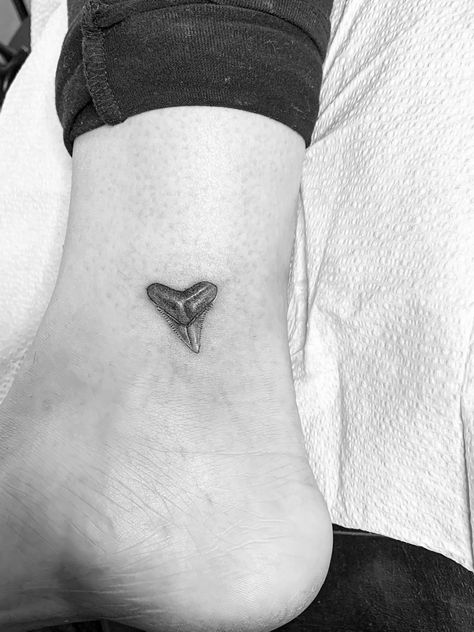 Bull Shark Tooth Tattoo, Shark Tooth Tattoos For Women, Naturalistic Tattoos, Ankle Shark Tattoo, Shark Tooth Tattoo Design, Fine Line Shark Tooth Tattoo, Tiger Shark Tooth Tattoo, Tiny Shark Tooth Tattoo, Realistic Shark Tooth Tattoo