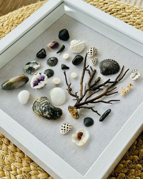 Handmade Jewelry for Ocean Lovers on Instagram: "Obsessed with this black and white shadow box my mom and I made. Her house is black and white themed so we put this together from the stuff we found at Topsail yesterday including the 2 cutest little shark teeth. Minus the spotted shells those are drupes from Hawaii. Check out that sea whip!" Shadow Box Ideas With Sea Shells, Shadow Box Beach Ideas, Ocean Shadow Box, Shells In Frame, Shadow Box Shells, Shell Shadow Box Ideas, Shell Collection Display, Black And White Shadow, Sea Glass Display