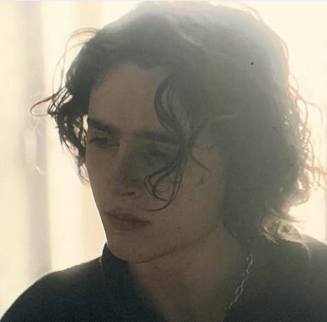 King Hal Timothee Chalamet, Timothee Chalamet Regulus Black, The King Timothee Chalamet, Timothee Chalamet The King, The King 2019, Regulus Acturus Black, Crimson Rivers, Timmy Chalamet, Paul Atreides