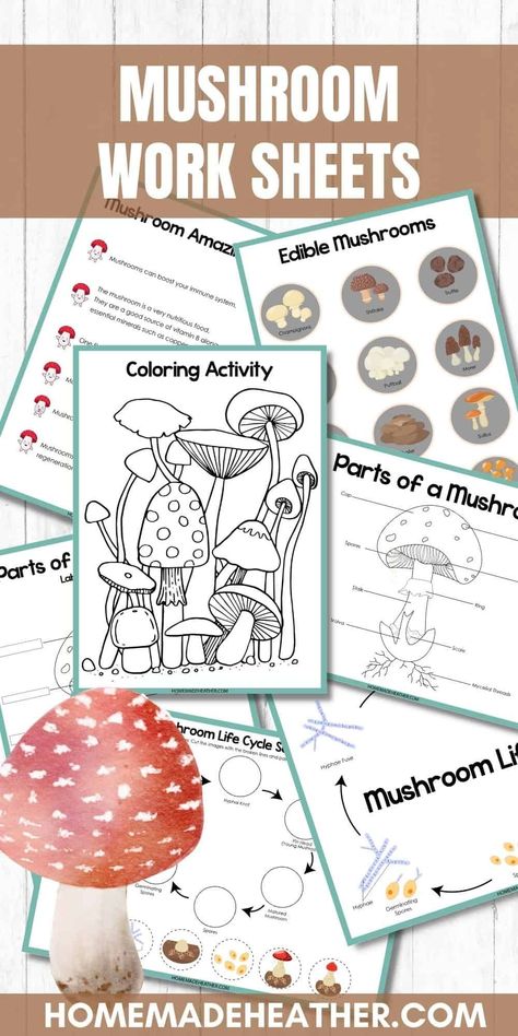 Mushrooms Unit Study, Mushroom Anatomy, Homeschool Mushroom Study, Mushroom Montessori Activities, Free Printables For Homeschooling, Mushroom Nature Study, Mushroom Worksheet, Mushroom Kindergarten, Mushroom Kindergarten Activities