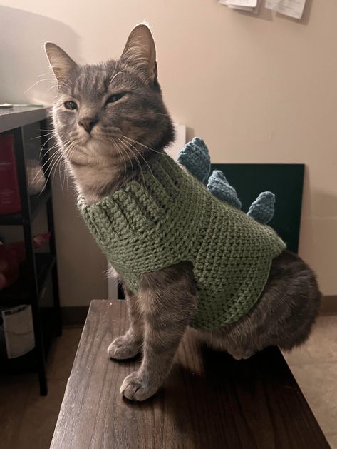 How To Crochet A Cat Sweater, Sphynx Cat Sweater, Crochet Sweaters For Cats, Crochet Cat Halloween Costume Free Pattern, Cat Crochet Outfit, Granny Square Cat Sweater, Crochet Cat Dress, Crochet Sweater For Cat, Crochet Cat Outfits