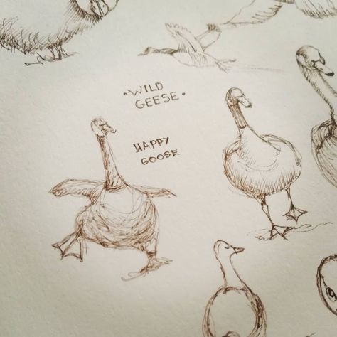 Goose Cute Drawing, Geese Drawing, Goose Doodle, Goose Drawing Simple, Goose Art Cute, Cartoon Goose, Goose Sketch, Duck Drawings, Goose Painting