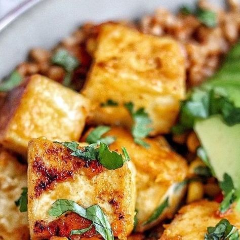 Health and Wellness 🌱 on Instagram: "🥭🌶️ Mango and chili, have you every tried this flavour combo before? Let us know below how you use these two in a dish! 👇👇
​
Take this for example! ​Mango Habanero Tofu by @plantbased.traveler 💛
​🌶️ Crispy, spicy and sweet. Who knew such a combo would be sooo good?😍
​
​Mango Habanero Sauce:
1-2 ripe mangos* (about 1 cup chopped)
2-3 habaneros
2 garlic cloves
1 small carrot, roughly chopped
1/2 tbsp grated ginger
1/4 cup rice vinegar
2 tbsp maple or agave syrup
Juice of 2 limes plus a tsp of lime zest
1/2 cup water
Salt to taste

Tofu:
1 block of super firm (also known as high protein) tofu
A generous pinch of salt
1-2 tbsp Cornstarch
1 tbsp avocado oil

Attention: Habaneros are very spicy! Take out the seeds, only use 1, replace with jalapeños o Mango Habanero Sauce, Habanero Sauce, Agave Syrup, Lime Zest, Iron Skillet, Rice Vinegar, Daily Meals, Spicy Recipes, Sweet And Spicy