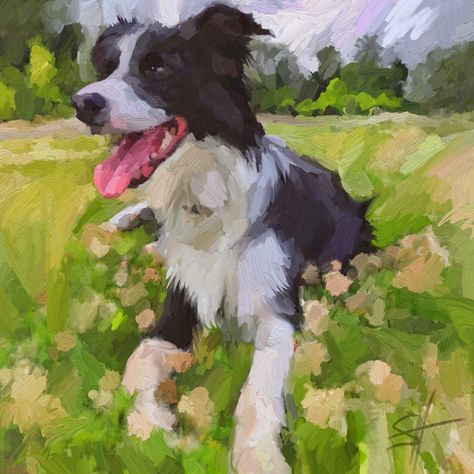 Border Collie Oil Painting, Border Collie Drawing, Border Collie Painting, Collie Painting, Painting For Adults, Game Room Ideas, Border Collie Art, Pet Portrait Paintings, Dog Portraits Painting