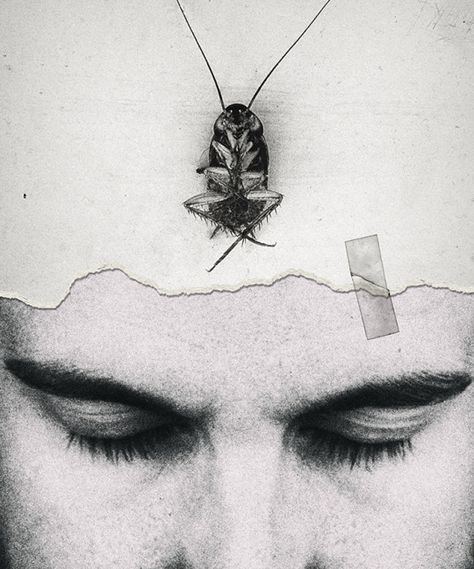 Gregor Samsa, Metamorphosis Art, The Metamorphosis, Literature Humor, Franz Kafka, Favorite Book Quotes, Visual Media, Fantastic Art, Dark Art