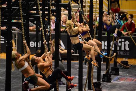 Great article on Crossfit. | #crossfit | #jaggurnaut | #getfitandhealthy Fotografia Crossfit, Fitness Knowledge, Crossfit Competition, Crossfit Photography, Expand Your Mind, Crossfit Workout, Fitness Competition, Crossfit Workouts, Just Stop