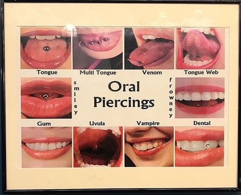 What Is Blood, Oral Piercings, Around The Fur, Goth Gf, Cool Piercings, Emo Bands, Insurance Company, Body Mods, Venom