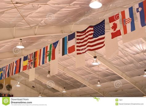 Flags hanging from the ceiling of a hockey rink representing the countries that participate in international hockey. Description from dreamstime.com. I searched for this on bing.com/images Flags Hanging From Ceiling, Hanging From Ceiling, Hanging Flags, Flag Hanging, Melodrama, Sports Bar, The Ceiling, Hockey Rink, 18th Birthday