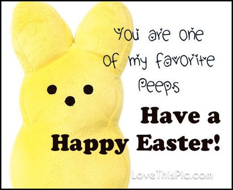 You Are One Of My Favorite Peeps Happy Easter Pictures, Photos, and Images for Facebook, Tumblr, Pinterest, and Twitter Easter Memes, Easter Quote, Holiday Sayings, Happy Easter Funny, Happy Easter Pictures, Happy Easter Quotes, Somebunny Loves You, Funny Easter Bunny, Meaningful Poems