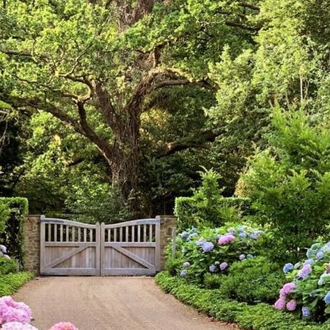 Barngirl on Instagram: "Hydrangea Season 🌱 #countrylife #rural #curbappeal #flower #garden #glam #summer #hydrangeas #entrygate #chic #countryhouse #flowers #landscapedesign #landscape #gardenlove #driveway #bling @roman_and_ivy 🩷💜🩷" Hydrangea Farm, Mountain House Exterior, Hydrangea Season, Long Driveways, Farm Cottage, Hydrangea Garden, Front Gates, Entry Gates, Country Estate