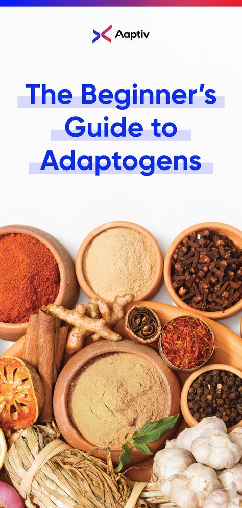 Adaptogens 101: Learn the basics of these trendy, healing herbs. Herbal Education, Improve Energy Levels, Adaptogenic Herbs, Herbal Apothecary, Healthy Blood Pressure, Get Things Done, Healing Herbs, Herbal Medicine, How To Increase Energy