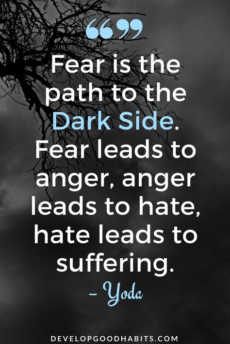 Read this collection of fear quotes | quotes about fear | quotes on fear #quote #quotes #qotd #quoteoftheday #quotestoliveby #inspirational #inspiration #motivation #motivationalquotes #inspirationalquotes Quotes On Fear, Quotes About Fear, Fear Leads To Anger, Yoda Quotes, Helpful Quotes, Anger Quotes, Fear Quotes, Good Quotes, Recovery Quotes