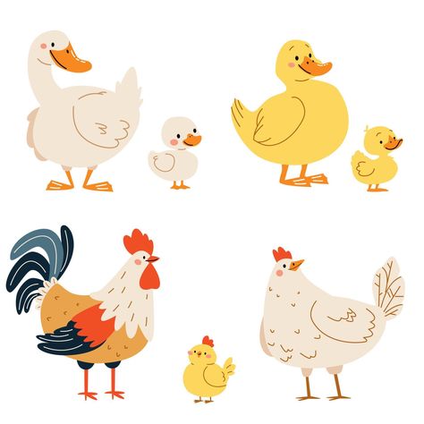 Set of flat illustrations on white background. Domestic birds with their children. Goose duck hen and rooster duckling chick chicken Chicken Coop Illustration, Fowl Illustration, Ducks Illustration, Zoo Poster Design, Duckling Illustration, Cute Chicken Drawing, Hen Illustration, Farm Animal Illustration, Chick Illustration