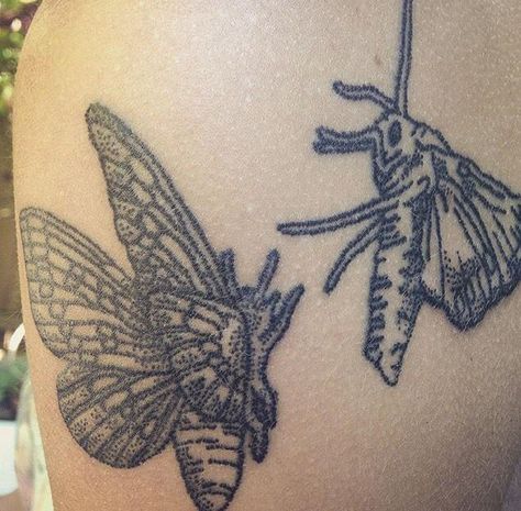 Moth Stick And Poke, Bug Stick And Poke, Scottish Tattoo, Stick Tattoo, Stick And Poke Tattoo, Shin Tattoo, Tattoos Inspo, Patchwork Tattoo, Funky Tattoos