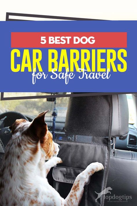 A car barrier for dogs is among those items that we don’t usually realize we’re going to need as we’re getting a dog only to later find out them to be much more than just a luxury item. In fact, dog car barriers are an essential item for any dog owner that has to frequently drive together with a dog, be it to the vet, to work, to the park, or anywhere else. #dogcars #dogs #cars #carbarriers #dogsupplies #cartravel #travel #pets Dog Car Barrier, Dog Car Travel, Dog Barrier, Getting A Dog, Pet Barrier, Dog Car, Safe Travel, Pet Safe, Car Travel