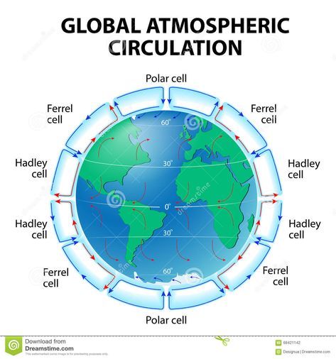 Circulation of Atmosphere. Global circulation patterns or Hadley-Ferrel Model #Sponsored , #sponsored, #advertisement, #Atmosphere, #circulation, #Ferrel, #Global Circulation Diagram, Atmospheric Circulation, Model Illustration, Science Diagrams, Ias Study Material, Aviation Education, Weather Science, Keystone Species, Teaching Geography