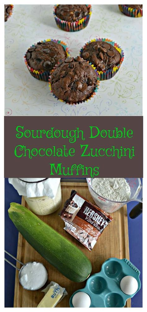 Everything needed to make Sourdough Double Chocolate Zucchini Muffins! #chocolaterecipes #sourdoughrecipes #muffinrecipes | Sourdough Recipes | Muffin Recipes | Chocolate Recipes | Zucchini Recipes | Bread Recipes | Muffin Recipes Chocolate, Zucchini Recipes Bread, Muffin Monday, Chocolate Zucchini Bread Recipe, Blueberry Zucchini Muffins, Double Chocolate Zucchini Muffins, Zucchini Chocolate Chip Muffins, Recipes Zucchini, Discard Recipe