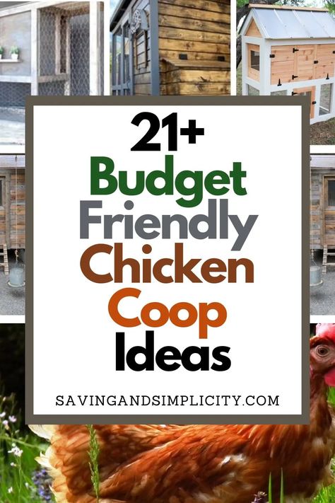 Save yourself a ton of cash & build a DIY chicken coop. Start raising hens in a pallet chicken coop or chicken house. Farm fresh eggs. Do it yourself, recycled, sustainable, upcycled chicken coops.  Chicken coops on a budget. Backyard chicken coops.  Urban farming. Grow your own food.  Collect your own eggs. Pallet Coop Plans, How To Make A Chicken Coop Diy, Wood Pallet Chicken Coop Hen House, Small Diy Chicken Coop Ideas, Cute Coop Ideas, Chicken Coop Rustic, Diy Indoor Chicken Coop, Diy Chicken Coop On A Budget, Single Chicken Coop