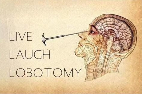 Amazon.com: Live Laugh Lobotomy Aluminum Signs Funny Tin Sign Metal Art Poster Gift Home Cafe Bar Wall Decor Room Door Accessories 8"x12"… : Home & Kitchen Live Laugh Lobotomy, Dirty Memes, Signs Funny, Man Cave Signs, Bar Wall Decor, Bar Wall, Home Cafe, Room Door, Dirty Mind