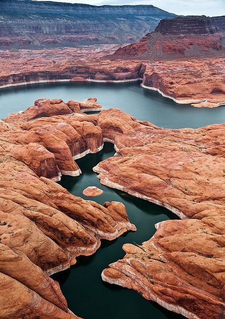 Lake Powell, Glen Canyon National Recreation Area, Utah / Arizona Cold Forest, Page Az, Long Pictures, Glen Canyon, Desert Southwest, Lake Powell, North Cascades, Red Rocks, Going Places