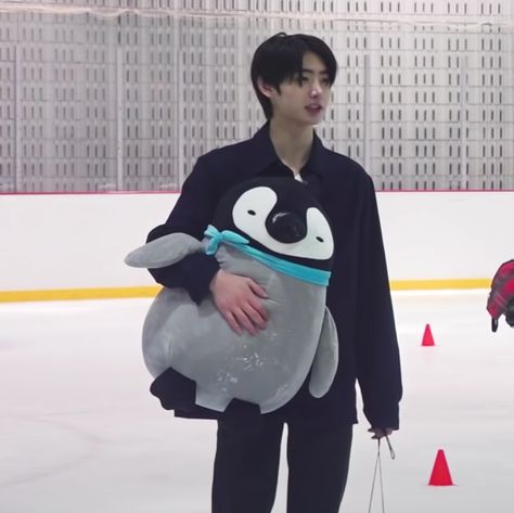 enhypen sunghoon holding penguin stuffed toy en oclock lq Sunghoon Pfp Funny, Skater Sunghoon, Sunghoon Icons, Kpop Pfp, Dara Kpop, The Boy Is Mine, Sung Hoon, Figure Skater, Kpop Guys