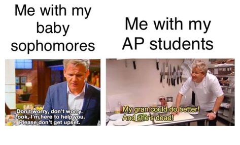 Ap Class Memes, English Teacher Memes, Gorden Ramsay, Teacher Funnies, Teaching Memes, School Mood, Class Memes, Teaching Humor, High School Social Studies