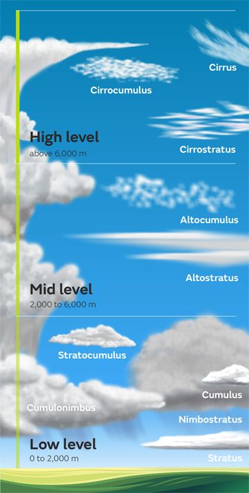 A quick chart to help you identify cloud types.  #ilovemygoattote.com #beyondthegoattote.com  #brain #science #travel #shopping Ingenieur Humor, Medical Diagrams, Cloud Types, Types Of Clouds, Cloud Type, Aviation Education, Weather Science, Navi A Vela, Earth And Space Science