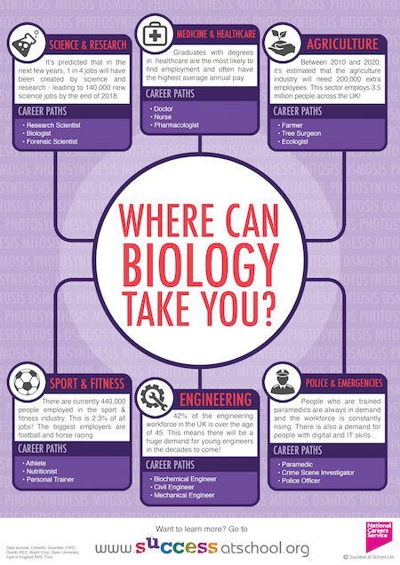 Careers in Biology Studying Biology, Biology Jobs, Technology Careers, College Preparation, A Level Biology, Study Biology, Medical Student Study, A Level, Biology Lessons