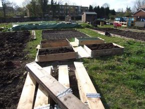 Raised Bed Layout, Pallet Collars, Allotment Ideas, Permaculture Garden, Pallet Beds, Permaculture Gardening, Pallets Garden, Pallet Garden, House And Garden