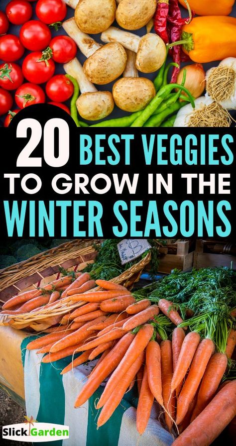 Growing Winter Vegetables, Gemüseanbau In Kübeln, Growing Vegetables In Pots, Winter Veggies, Winter Greenhouse, Winter Vegetables Gardening, Tattoo Plant, Vegetable Garden Diy, Fall Vegetables